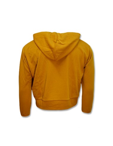 Nike Women's Standard Issue Hoodie Wmns ChutneyPale Ivory DA6483712
