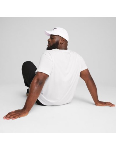 Puma ESS Small Logo Tee M 682538 02
