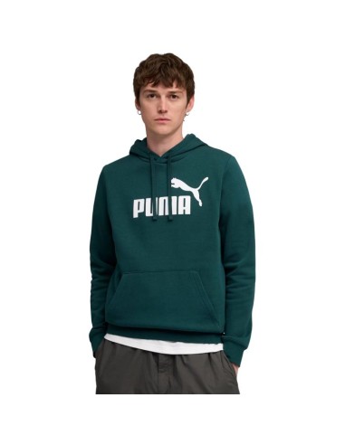 Puma ESS No1 Logo Hoodie FL M 682571 75