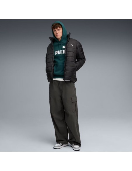 Puma ESS No1 Logo Hoodie FL M 682571 75
