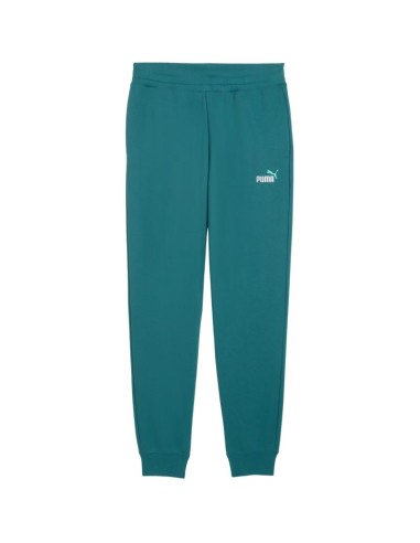 Puma Ess 2 Color No 1 Logo Men's Pants Green 684714 41