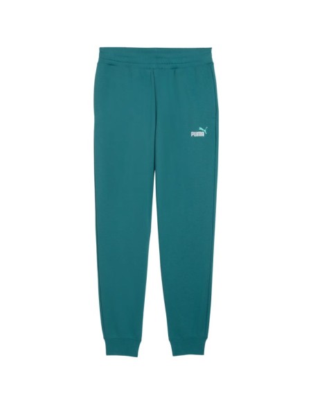 Puma Ess 2 Color No 1 Logo Men's Pants Green 684714 41