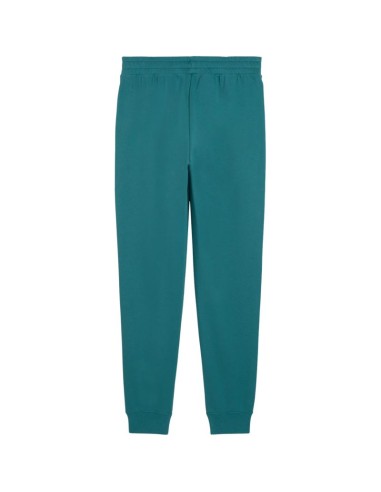 Puma Ess 2 Color No 1 Logo Men's Pants Green 684714 41