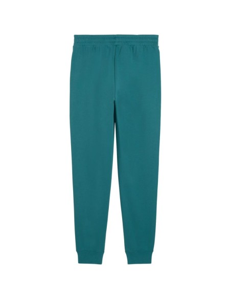 Puma Ess 2 Color No 1 Logo Men's Pants Green 684714 41