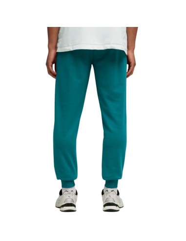 Puma Ess 2 Color No 1 Logo Men's Pants Green 684714 41