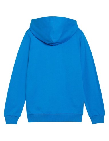 Puma teamGoal Casuals Hooded Jr sweatshirt 658596 02
