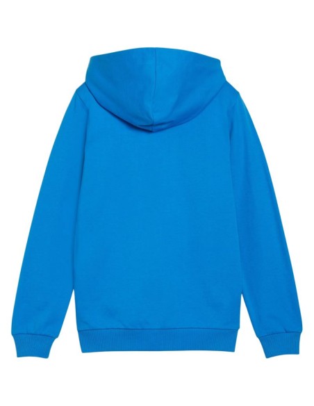 Puma teamGoal Casuals Hooded Jr sweatshirt 658596 02