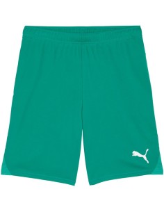 Puma Team Goal men's shorts green 705752 05