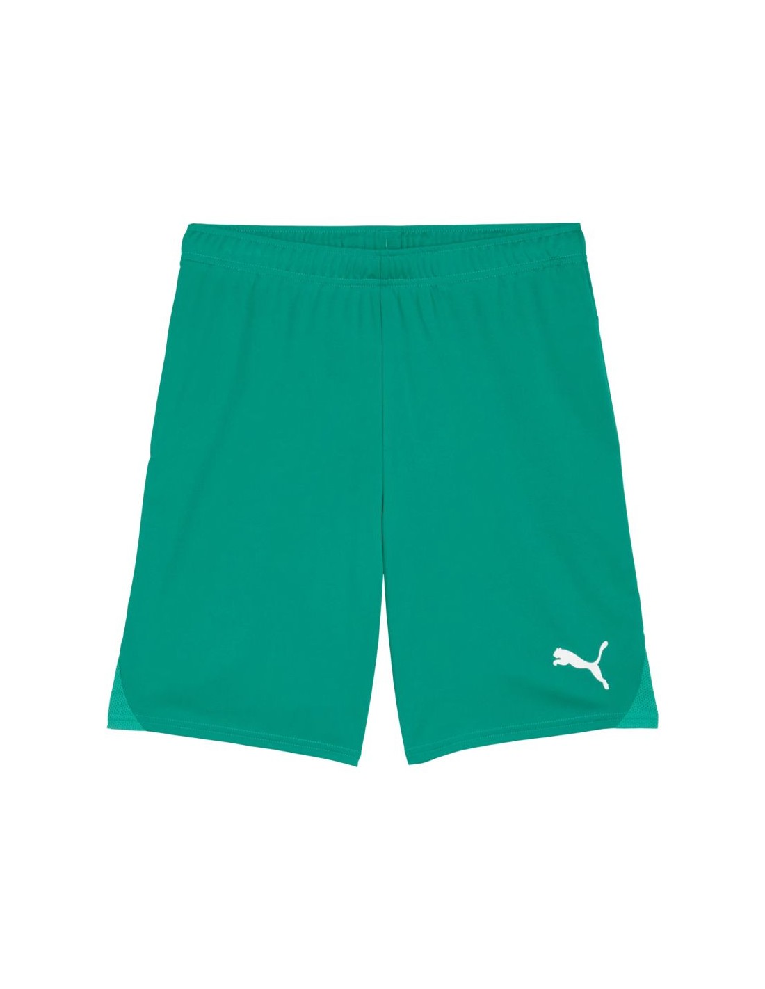 Puma Team Goal men's shorts green 705752 05
