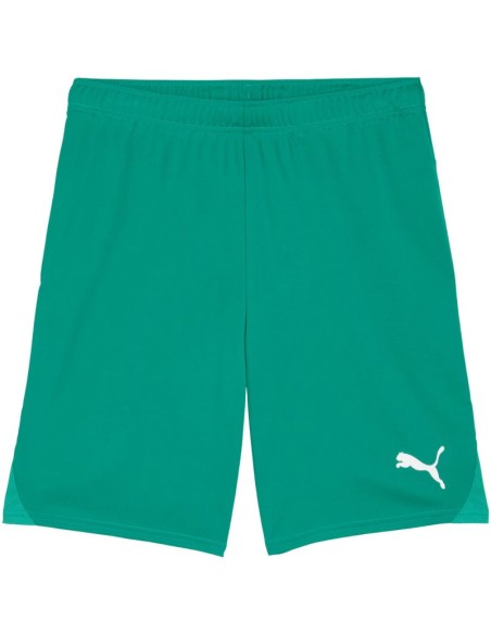 Puma Team Goal men's shorts green 705752 05