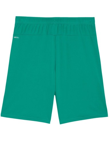 Puma Team Goal men's shorts green 705752 05