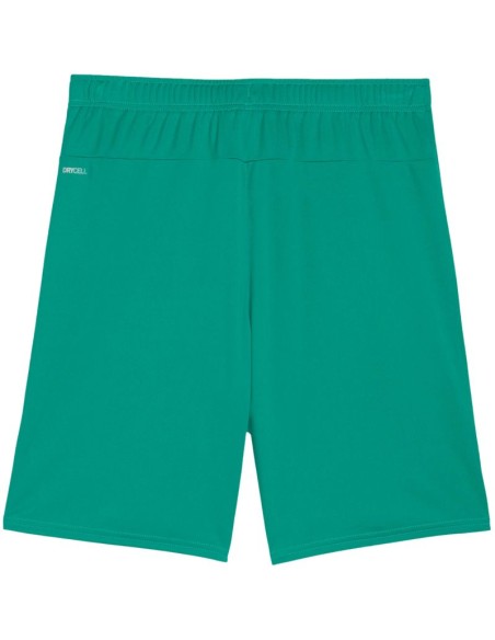 Puma Team Goal men's shorts green 705752 05