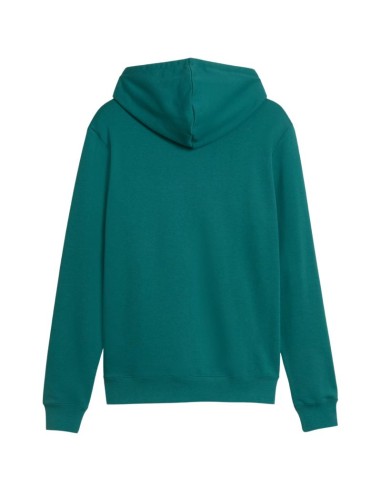 Puma ESS 2 Color Small No 1 Logo Hoodie Green 684719 41