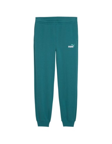 Puma ESS 2 Color No 1 Logo Kids Pants Green 693892 41