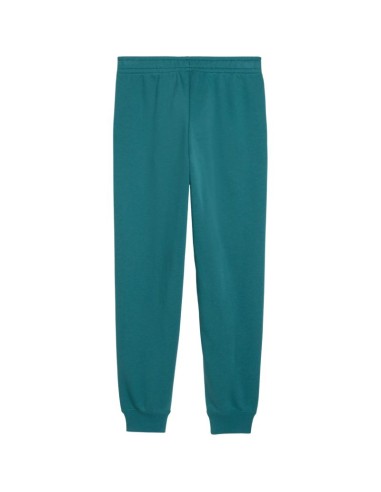 Puma ESS 2 Color No 1 Logo Kids Pants Green 693892 41