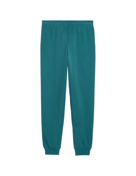 Puma ESS 2 Color No 1 Logo Kids Pants Green 693892 41