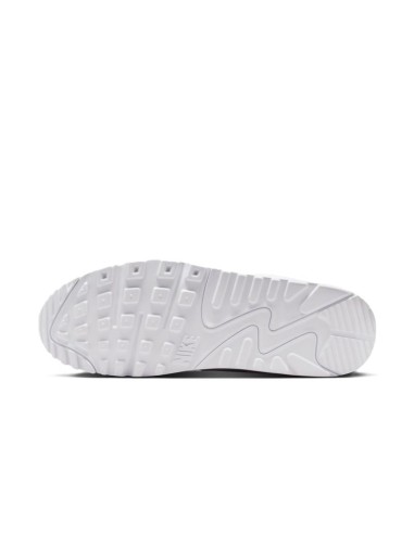 Nike Air Max 90 DM0029120 shoes