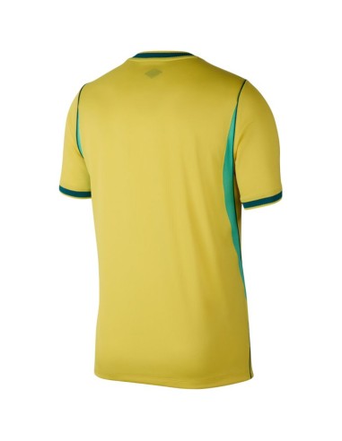 Nike Brazil 2026 Stadium Home Men's Jersey Yellow IF7054 724