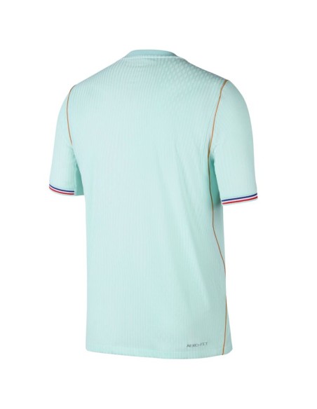 Nike France Match 202627 Men's Jersey Mint IB5200 394