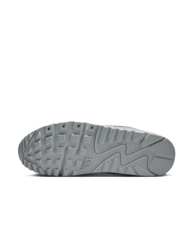 Nike Air Max 90 DM0029022 shoes