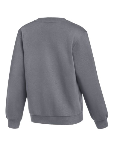 Nike Park 26 Fleece Crew Kids' Sweatshirt Gray IB1188 071