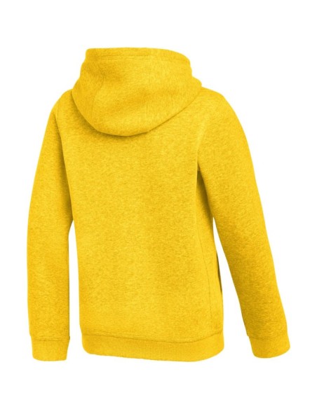 Nike Park 26 Fleece Hoodie for Kids Yellow IB1226 719