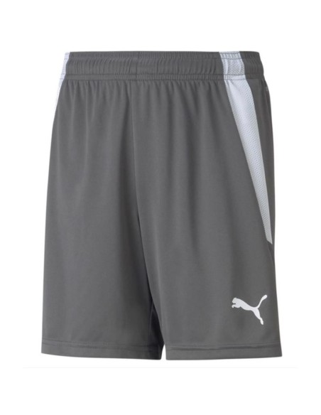Puma teamLIGA Shorts Jr 704931 13