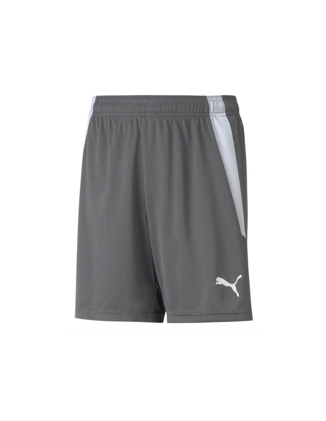 Puma teamLIGA Shorts Jr 704931 13