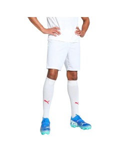 Puma Team Goal men's shorts white 705752 04
