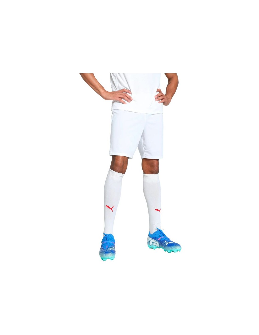 Puma Team Goal men's shorts white 705752 04