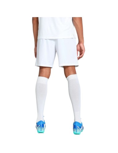Puma Team Goal men's shorts white 705752 04