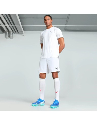 Puma Team Goal men's shorts white 705752 04