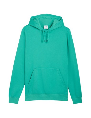 Puma ESS No 1 Logo Centered Hoodie Green 692914 40