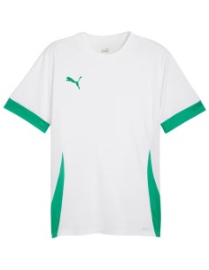 Puma teamGoal Matchday Jersey men's whitegreen 705747 15