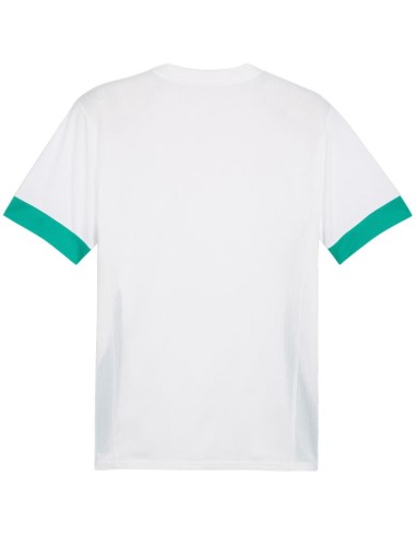 Puma teamGoal Matchday Jersey men's whitegreen 705747 15