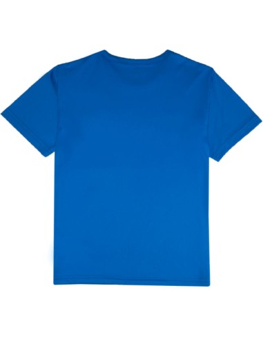 Puma teamRISE Matchday kids' tshirt blue 706284 02