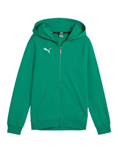 Puma teamGoal Casuals Hooded Kids' Sweatshirt Green 658596 05