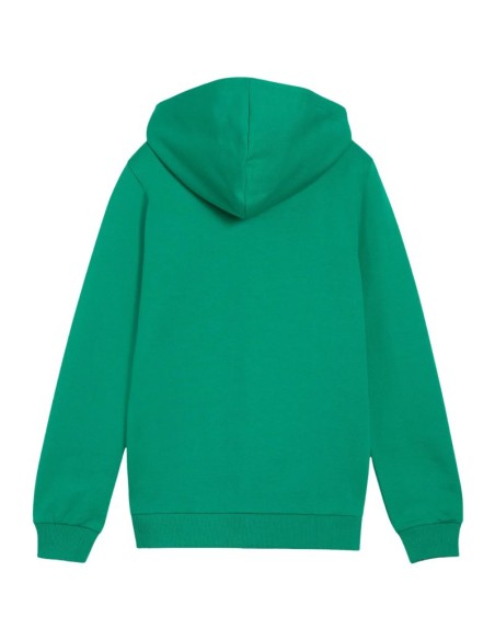 Puma teamGoal Casuals Hooded Kids' Sweatshirt Green 658596 05
