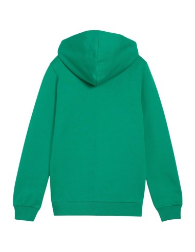 Puma teamGoal Casuals Hooded Kids' Sweatshirt Green 658596 05