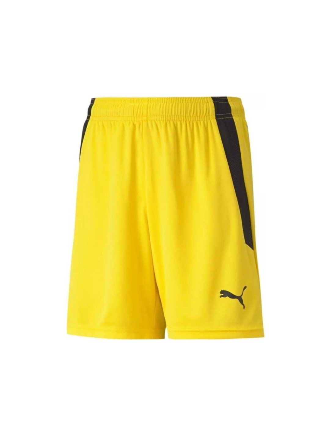 Puma teamLIGA Shorts Jr 704931 07