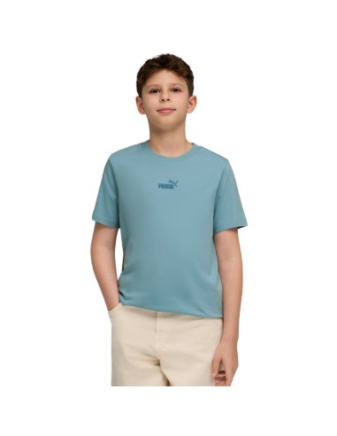 Puma ESS Small No 1 Logo Centered Tee for Kids Blue 692975 47