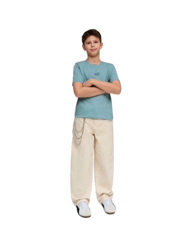 Puma ESS Small No 1 Logo Centered Tee for Kids Blue 692975 47