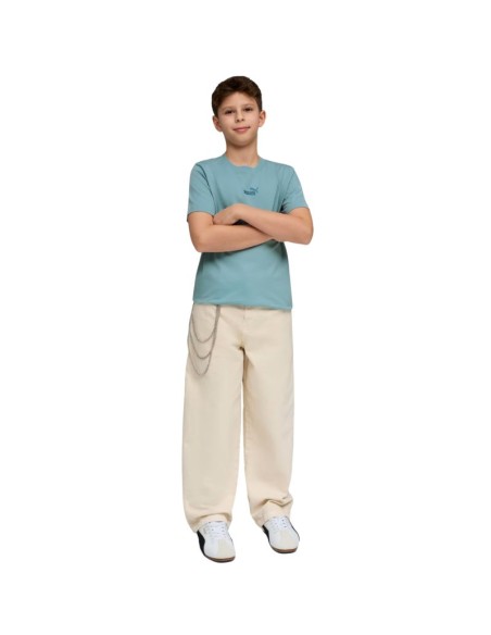 Puma ESS Small No 1 Logo Centered Tee for Kids Blue 692975 47