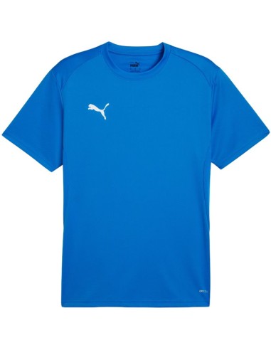 Men's Puma TeamGoal Jersey blue 658636 02