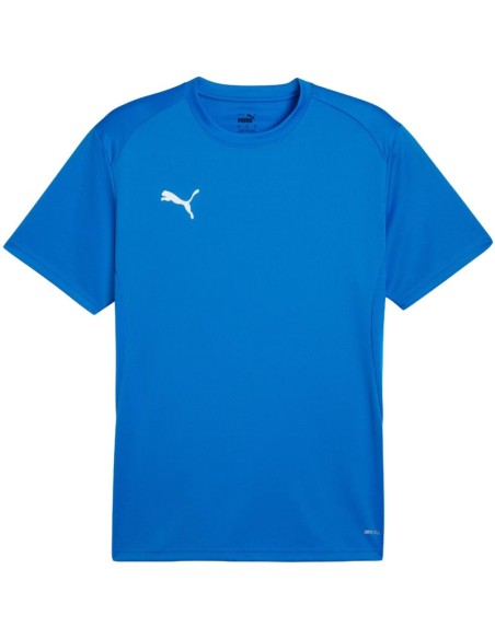 Men's Puma TeamGoal Jersey blue 658636 02