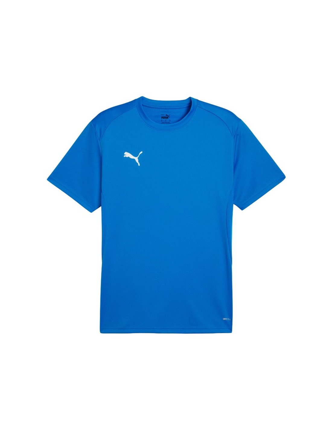 Men's Puma TeamGoal Jersey blue 658636 02