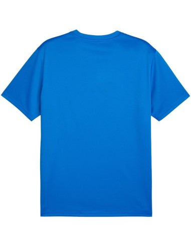 Men's Puma TeamGoal Jersey blue 658636 02