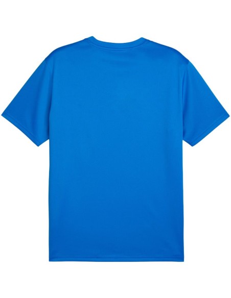 Men's Puma TeamGoal Jersey blue 658636 02