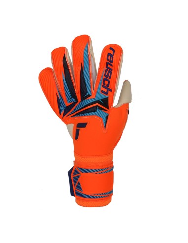 Reusch Attrakt Gold X Evolution World Cup gloves 56 70 064 2290
