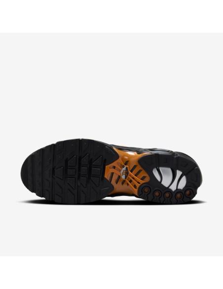 Nike Air Max Plus Men's Sports Shoes Black FN6949400